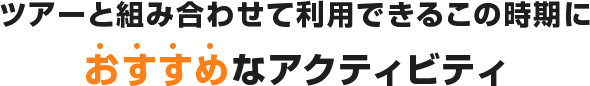 ツアーと組み合わせて利用できるこの時期におすすめなアクティビティ