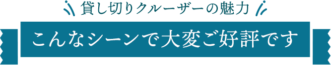 貸し切りクルーザーの魅力 こんなシーンで大変ご好評です