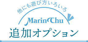 追加オプション