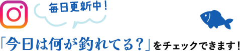 毎日更新中！今日は何が釣れてる？をチェックできます！