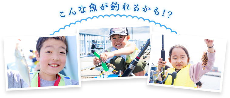 こんな魚が釣れるかも!?