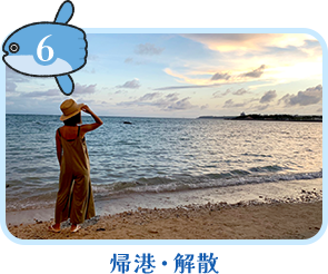 帰港・解散