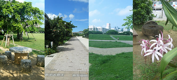 新都心公園