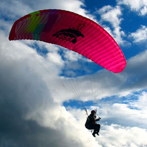 Paraglider